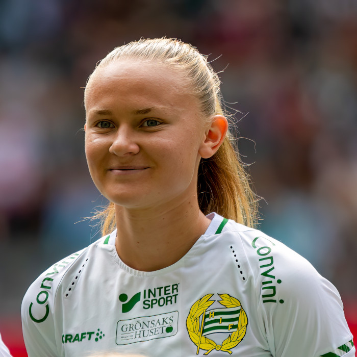 S. Vinberg