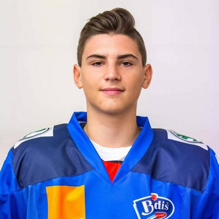 Y. Petrik