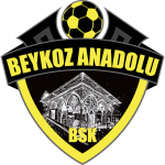 Tuzlaspor