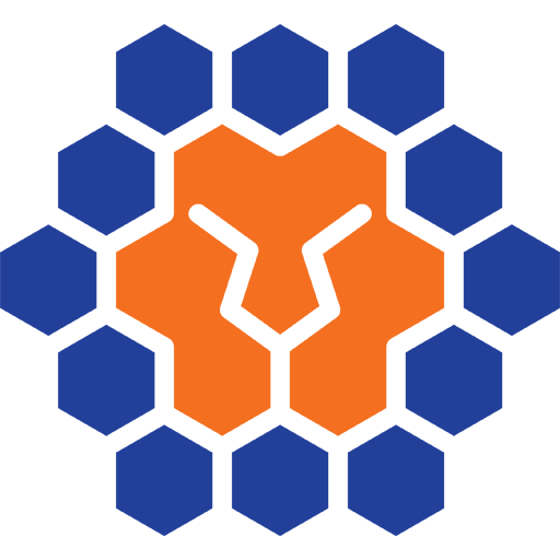 Queensland Lions