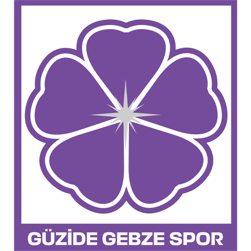 Güzide Gebzespor
