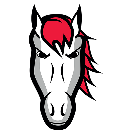 Leicester Riders