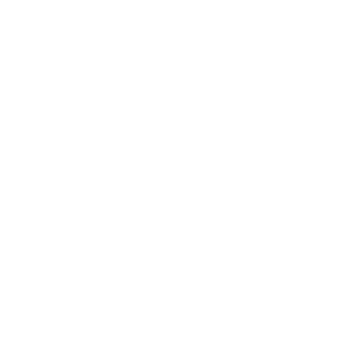 Bjerringbro-Silkeborg Håndbold