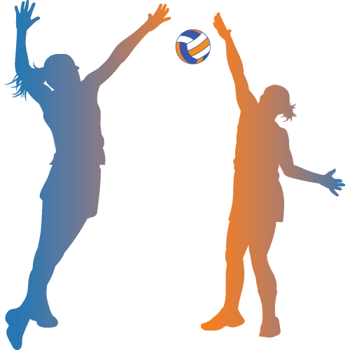 _Retired Netball