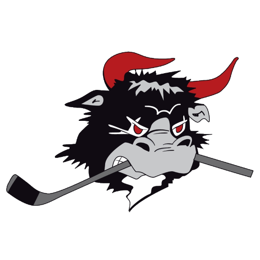Rødovre Mighty Bulls