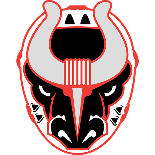 Birmingham Bulls